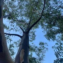 ALCEMIST - UNTITLED 2022 [FREE DOWNLOAD]