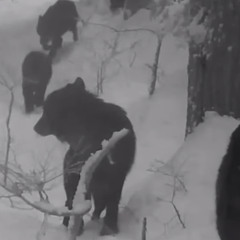 hurt people, hurt people official audio