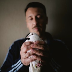 Avi x Louis Villain  - Tylko dla Twoich oczu (purpless remix)