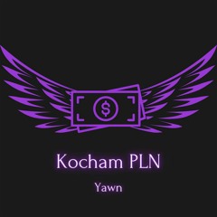Kocham PLN ft.KPMuzik