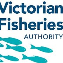 CEO of the Victorian Fisheries Authority Travis Dowling on the opening of crayfish season