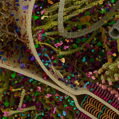 Breaking The Matrix Of Possible - 03 Inner Universe