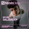 Mix #89 Salzbauer DJ mix artwork - Electronic music tracklist cover image
