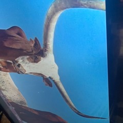 IZU 2024 - 05 - 23 21h03m02