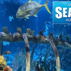Review Special Price Sea Life Aquarium Arizona Admission Ticket