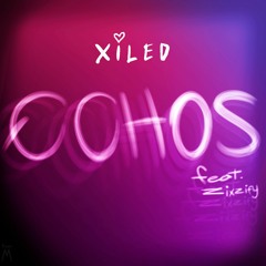 Echos (feat.Zixzify) (prod.CapsCtrl)
