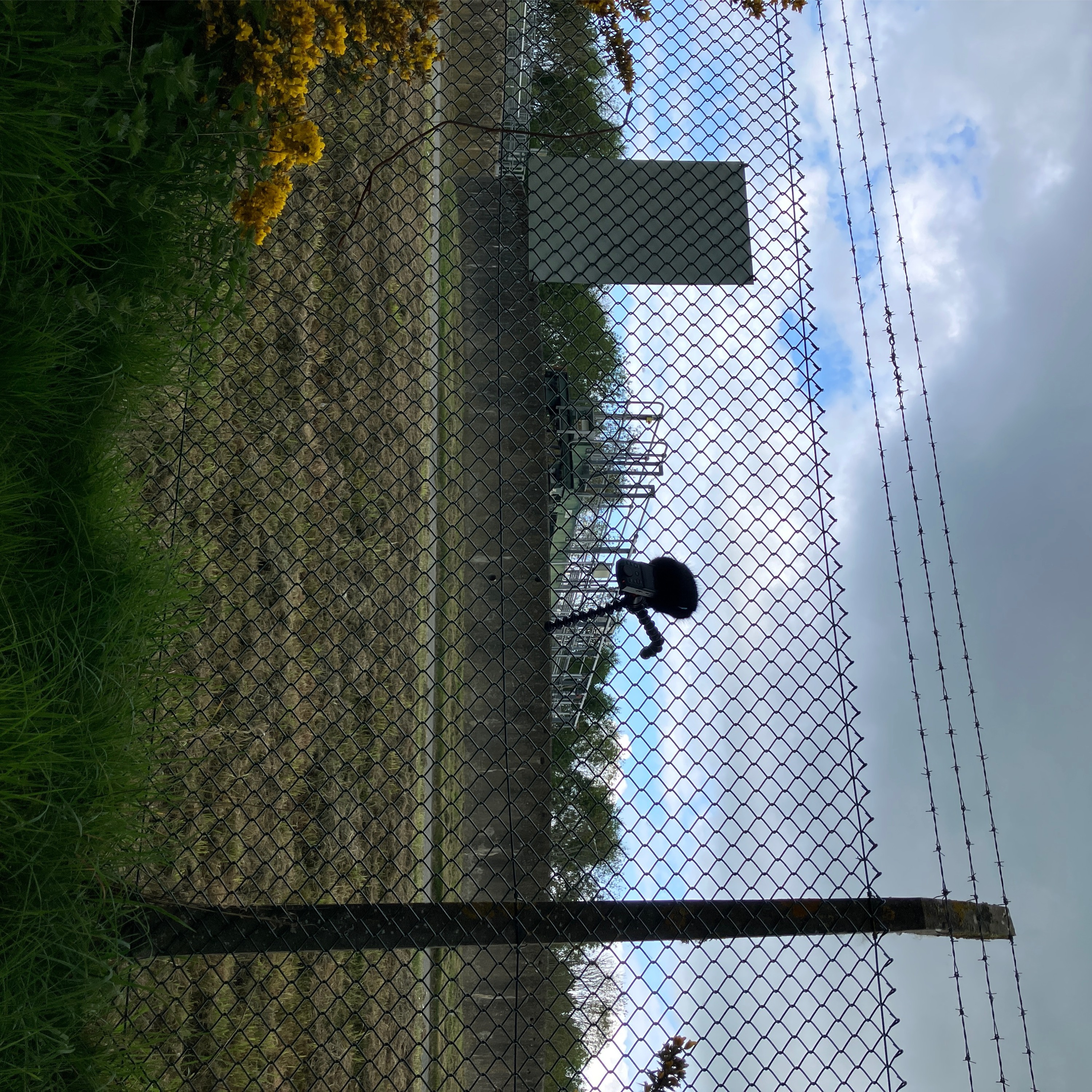 250504 train and sewage works mostly cars cattle grid harley episode artwork