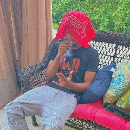 PSA pt 2 (prod. gvrlnd)