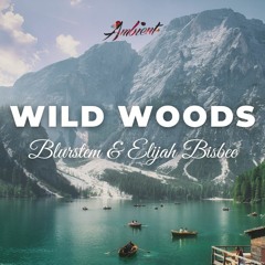 Blurstem & Elijah Bisbee - Wild Woods