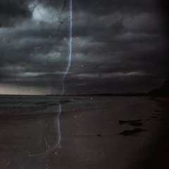 There are Lights in the Trees