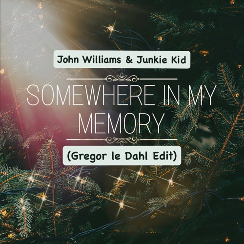 John Williams & Junkie Kid - Somewhere In My Flute (Gregor le Dahl Edit)