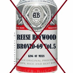 NO BROVID SUMMER - BROVID-69  Vol.5