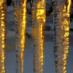 Women's Teves Class - Lighting Icicles & Reviving the Dead