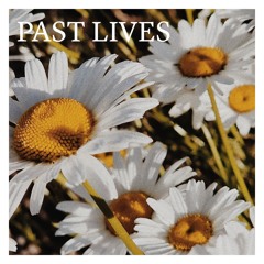 Daisy In A Retail Setting