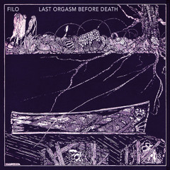 Last Orgasm Before Death