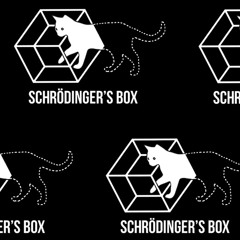 ENERGY FLASH - Schrödinger's Box All Dayer