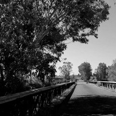 |Dön Desem| Özcan Deniz (Deneme)