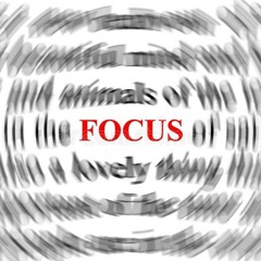 FOCUS!