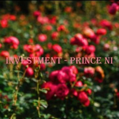 Prince Ni- Investment