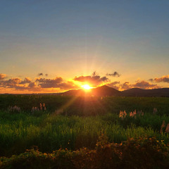 Sugar Mountain-Neil Young (Cover)