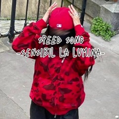 speed song-Sensibil la Lumina❤️