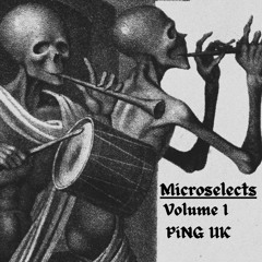 Microselects podcast: Vol. I - PiNG (UK)
