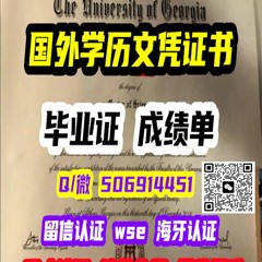 慕尼黑大学毕业证成绩单Ludwig Maximilian Muenchen Unitversitaet