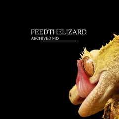 Feedthelizard - Archived Mix 1
