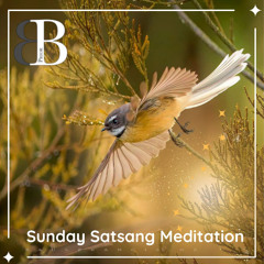 The Faces of Shakti Shiva Meditation