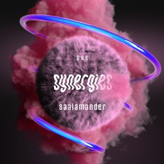 Saalamander @ Synergies