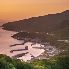 305号線