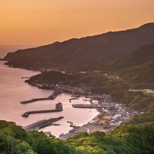 305号線