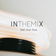 InTheMix - Feel That Flow