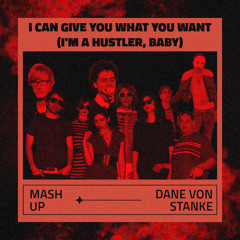 I Can Give You What You Want (I’m A Hustler, Baby) (Dane Von Stanke Mash Up)