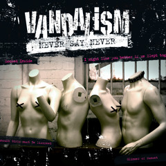 Never Say Never (Original Radio Edit)