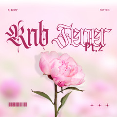 DJ KOPP - RNB FEVER PT.2 ( RNB MIX 2025 )