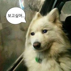 내가 애쓰면 넌 나의 애인이 되줘