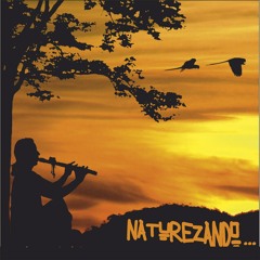 Naturezando