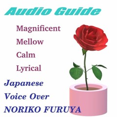 Audio Guide---Japanese /Magnificent/Mellow/Calm/Lyrical