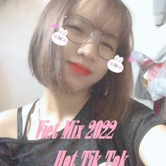 Việt Mix 18/2 - Hot Tik Tok 2022 ( Team Tùng Dior Luxury ). Hoài Anh Remix