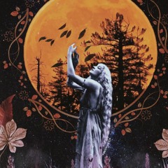 W I L D H O R S E S P I R I T ★ MAGIC LOCO ★ Ecstatic Dance Journey