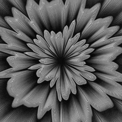 Assombra Binário (Slowed)