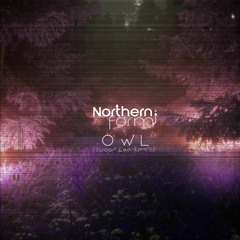 Northern Form - Owl (Good Lee Remix)