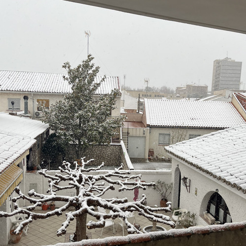 LEWAS - ¡VIERNES DE NIEVE!