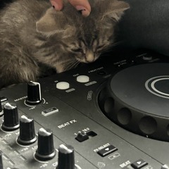 slophous rizz party set ٩(＾◡＾)۶ - SamsungGalaxyS2