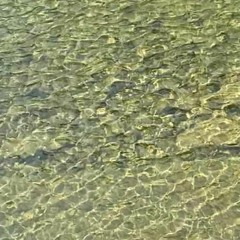 삼동면1