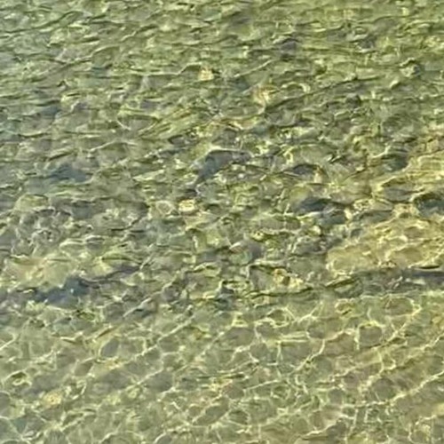 삼동면1