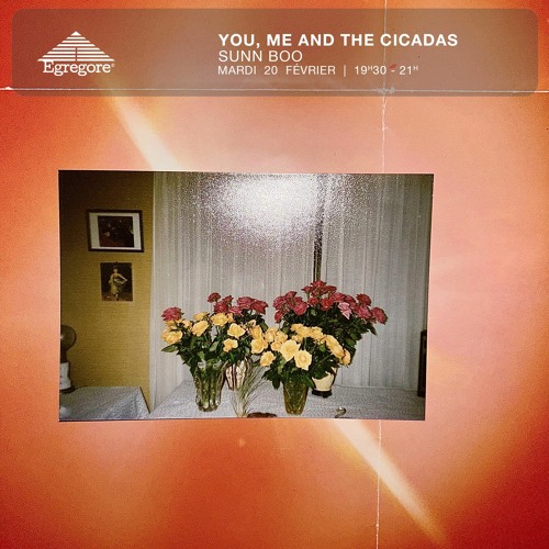 You, me and the cicadas - Sunn Boo (Février 2024)