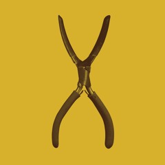 Blame the Tools | Online Symposium | 8 October 2020 | Panel Two: Certainty