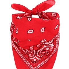 Patrick David Ryan - NOSA X - SECTIONS (mastered)-1.mp3